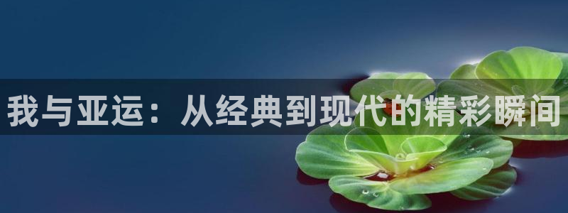 耽漫网下载